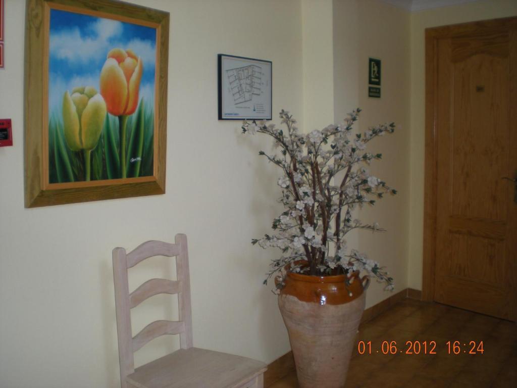 Casanova Appartamento Nerja